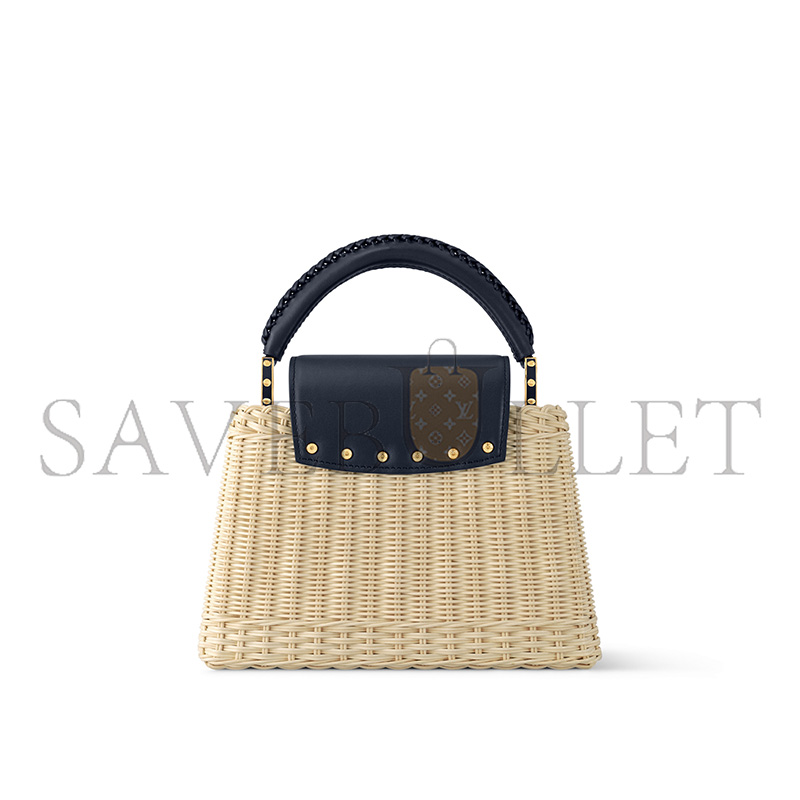 LOUIS VUITTON MASTER CAPUCINES BB M14366 (27*18*9cm)
